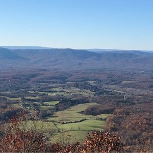 Meet your Posher, Davina